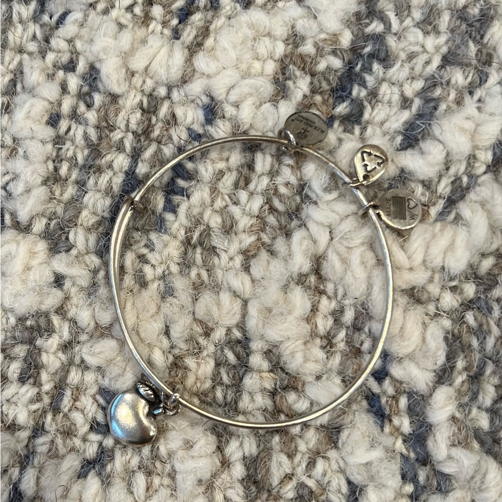 Alex and ani teacher apple bracelet